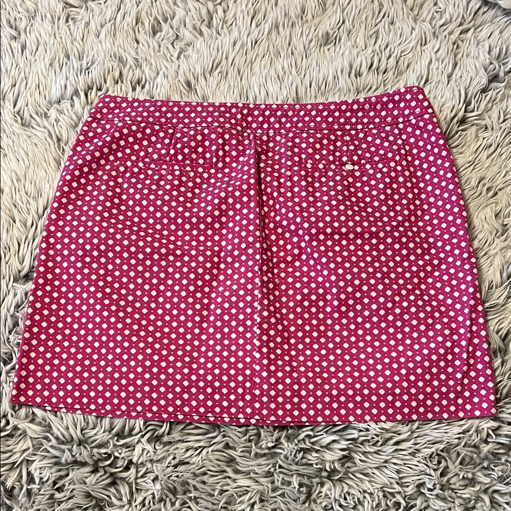 J. Crew Pink & White Mini Skirt